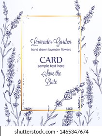 Lavender card Vector vintage line art. Provence floral decor hand drawn. Summer wedding ceremony delicate poster