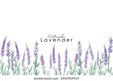 Acuarela de Vector de tarjeta de lavanda. Provenza flores fondos de Anuncio. borde de lavanda, acuarela, dibujado a mano