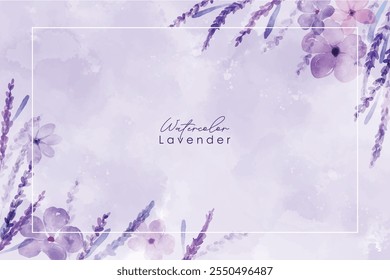 Cartão de alfazema Aquarela vetorial. Provença flores banner fundos. borda lavanda, pintura aquarela, mão desenhada. lavanda abstrata aquarela quadro de fundo