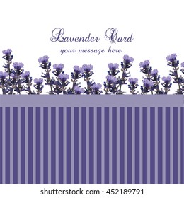 Lavender Card with Vintage border. Vector Gentle blossom floral bouquet. Vintage Label with lavender beautiful fragrance