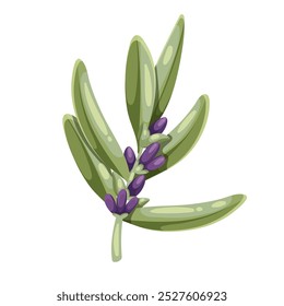 Sucursal de desenho animado lavanda com folhas verdes. Flores aromáticas roxas e folha no caule, elemento de buquê floral orgânico natural. Natureza, mascote da Provença, ilustração do vetor da planta de lavanda bonito do desenho animado