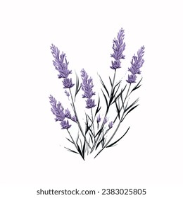 Lavanda en dibujos animados, estilo doodle. Ilustración vectorial 2d en logotipo, estilo de icono. 