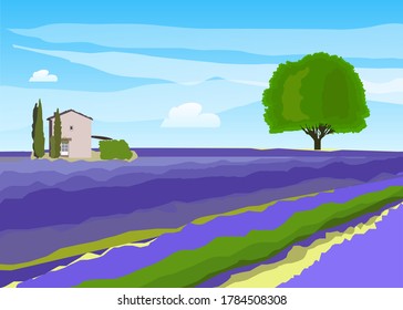 Lavender color, Provence, freedom, smells of herbs, infinity, shades and nuances of lavender, relationships