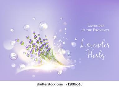 Lavender cosmetic label. Lavender cream and oil. Moisturizer with Vitamins and Regenerate Cream containes lavender essence.