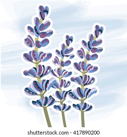 Lavender, decorative
