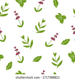 Decoración de lavanda. Diseño transparente para telas, papel y otros proyectos de impresión y web. Ilustración dibujada a mano