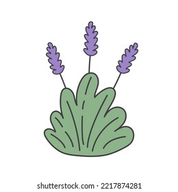 Lavender Doodle With Contrasting Outline Isolated