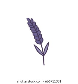lavender doodle icon