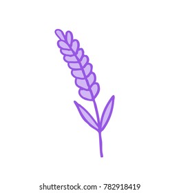 lavender doodle icon