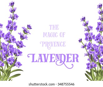 The lavender elegant card with frame of flowers and text. Lavender garland for your text presentation. Label of soap package. Label with lavender flowers. Vector illustration.