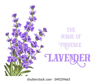 The lavender elegant card with frame of flowers and text. Lavender garland for your text presentation. Label of soap package. Label with lavender flowers. Vector illustration.