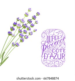 The lavender elegant card with frame of flowers and text. Lavender garland for your text presentation. Label with text: Provence of the Alps of the French Riviera. Vector illustration.