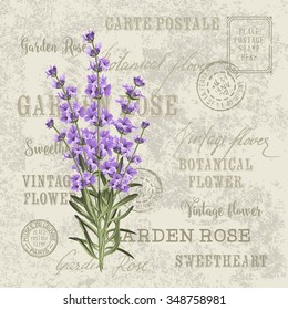 The lavender elegant card. Vintage postcard background vector template for wedding invitation. Label with lavender flowers. Vector illustration.