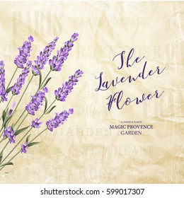 The lavender elegant card. Vintage postcard background vector template for wedding invitation. Label with lavender flowers. Vector illustration.