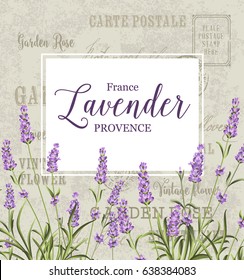 The lavender elegant card. Vintage postcard background vector template for wedding invitation. Label with lavender flowers. Vector illustration.