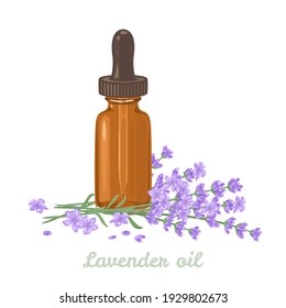 Lavender essential oil. Amber glass dropper bottle and fragrant flowers isolated on white background. Vector illustration in cartoon flat style.