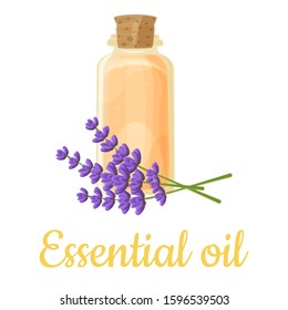 Lavender essential oil bottle isolated illustration, vector clip-art.