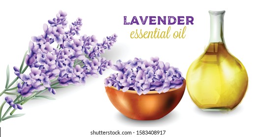 Lavender essential oil. Bunch of flowers. Watercolor vector