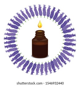 Lavender essential oil, eye dropper with oil. Lavender flowers. Beautiful, lilac background. Vector