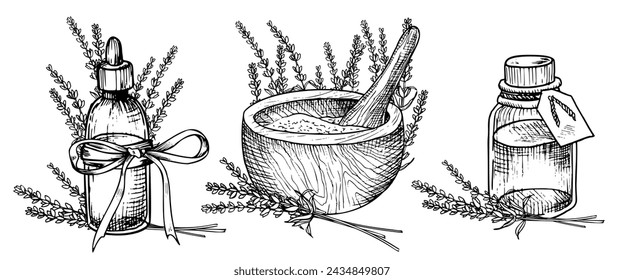 Lavender Essential Oil. Hand drawn linear vector illustration of vintage Bottle, mortar and pestle for aromatherapy in black and white colors. Drawing of Flacon with Flowers for cosmetic or medicine.