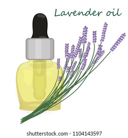 Lavender essential oil vector illustration Aromatherapy