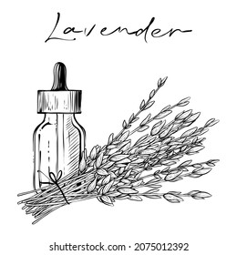 Aceite esencial de lavanda, ilustración vectorial