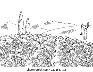 Flor de campo de lavanda gráfico paisaje blanco negro ilustración vector 