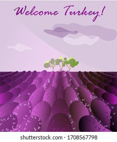 Lavender field image. vector. Title "Welcome Turkey!" Square background. cute landscape. Image suit for advertisement, post card, cover and poster designs