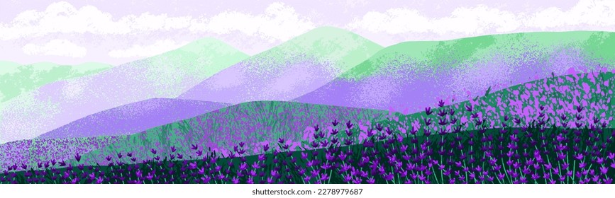 Campo de lavanda sobre colinas, paisaje natural de fondo. Plantas florales moradas floreciendo en pradera. Lavanderías violetas con flores, paisajes panorámicos, flora silvestre suave. Ilustración vectorial plana