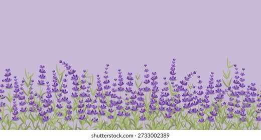 Die nahtlose Vektorgrafik aus Lavendelfeld zeigt lebendige violette Blüten und grüne Stängel auf pastellfarbenem Hintergrund, die das Wesen der Schönheit und Ruhe der Natur einfangen.