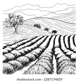 Lavender field sketch hand drawn in doodle style illustration