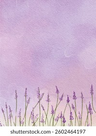Lavender Field with soft light purple Watercolor Background