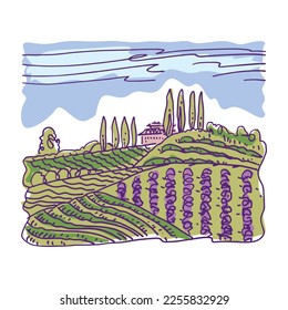 Lavender field, summer landscape. Provence, France. Hand drawn vector illustration.