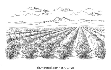 Pencil Sketches Landscapes Hd Stock Images Shutterstock