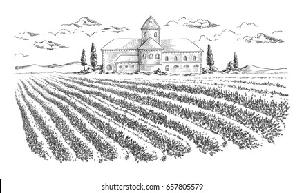 Paisaje de verano de campo Lavender con árbol cerca de Valensole.Provence, Francia