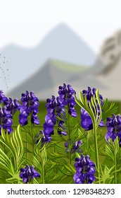 Lavender field Vector illustration. Mountains hills on backgrounds