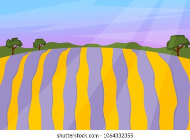 Lavender field vector landscape nature violet flower sunlight purple lavande evening natural beautiful countryside blooming illustration. Natural floral blue herb aromatherapy agriculture blossom.