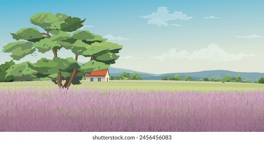 Los campos de lavanda en la colina tienen casas de campo y cordillera detrás de la Ilustración vectorial.