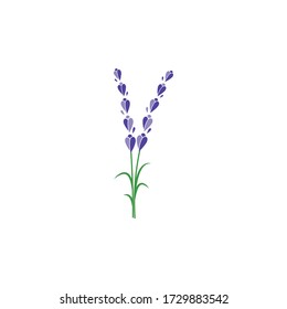 lavender floral aromatic logo vector icon illustration design