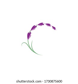 lavender floral aromatic logo vector icon illustration design