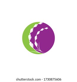 lavanda floral aromático logo vectorial icono diseño