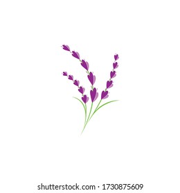 lavanda floral aromático logo vectorial icono diseño