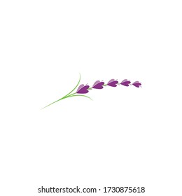 lavanda floral aromático logo vectorial icono diseño