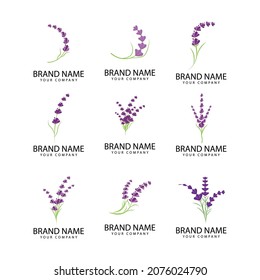 lavanda floral aromático logo vectorial icono diseño