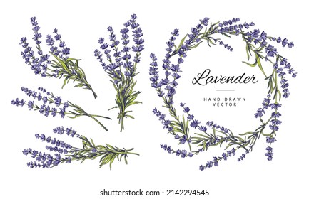Lavender floral decorative elements set with circle flower wreath and bouquets, hand drawn sketch style vector illustration isolated on white background.