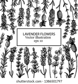 The lavender floral frame. Vintage flowers set. Ink hand drawn sketch. Vector illustration. For card, packaging.