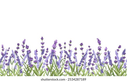 jardim floral de lavanda em fundo de vetor aquarela. roxo Abstrato papel de parede design com flores, flores silvestres, arte de linha