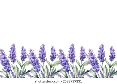 Lavender floral garden in watercolor vector background. purple Abstract wallpaper design with flowers.