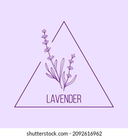 Modèle de logo dessiné à la main floral de lavande. Illustration vectorielle pour les badges, les étiquettes et l'identité professionnelle
