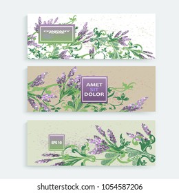 Lavender floral pattern cover design. Hand drawn creative flower. Elegant trendy artistic background blossom greenery branche. Graphic illustration wedding, invitation, poster, card, cover book